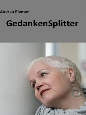 cover image of GedankenSplitter